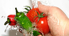 Alimentos